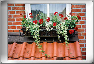 Haus & Garten